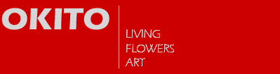 OKITO - Living - Flowers - Art